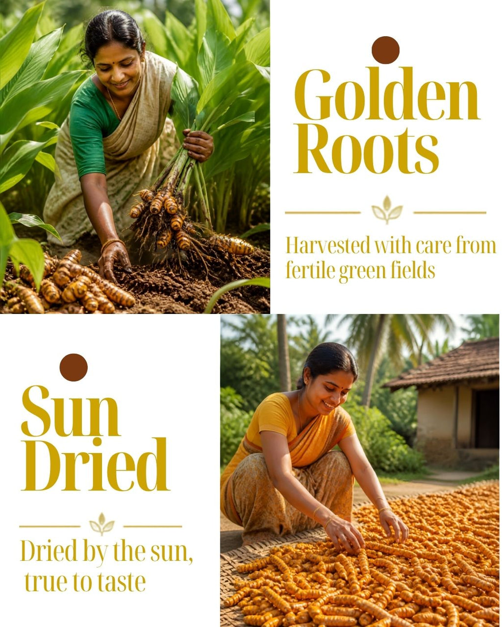 Turmeric Powder