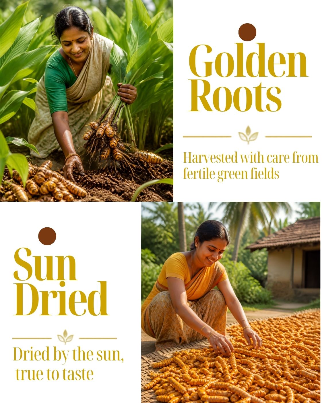 Turmeric Powder