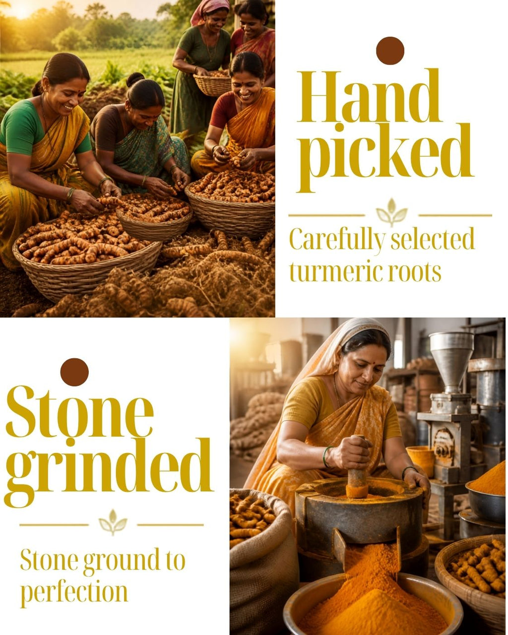 Turmeric Powder