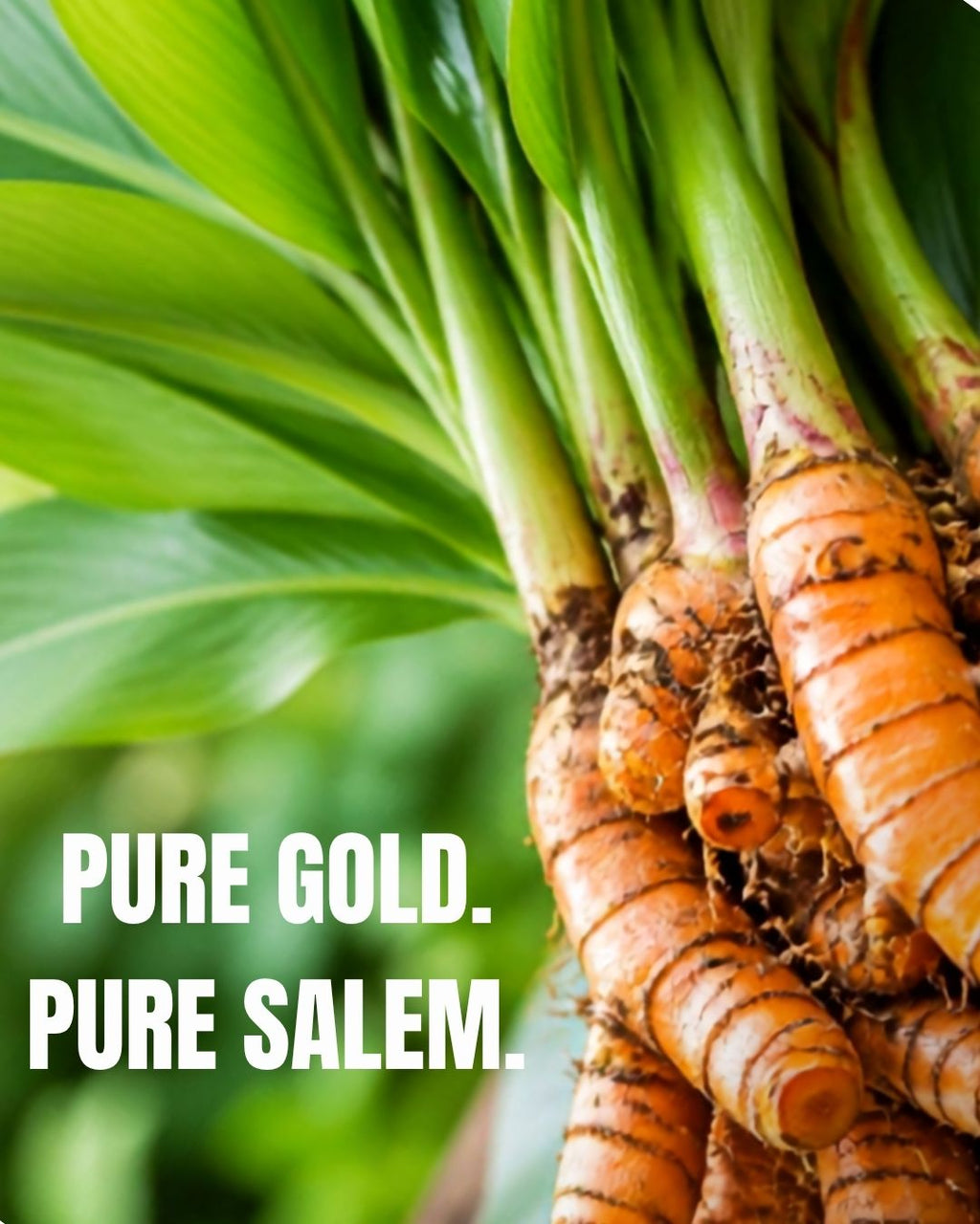 Turmeric Powder