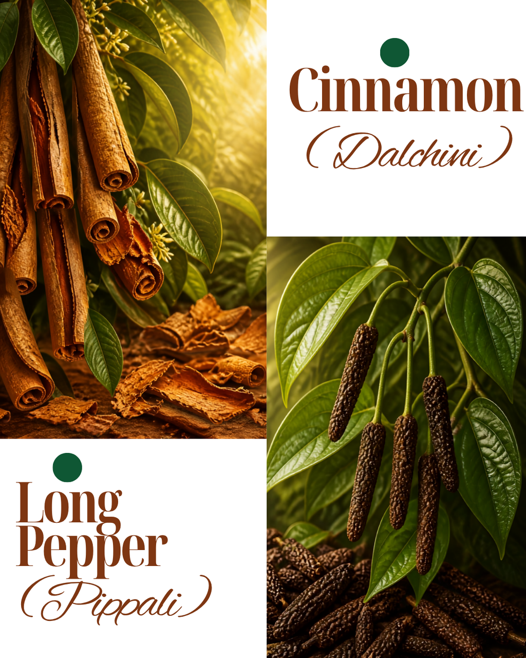 Special Garam Masala