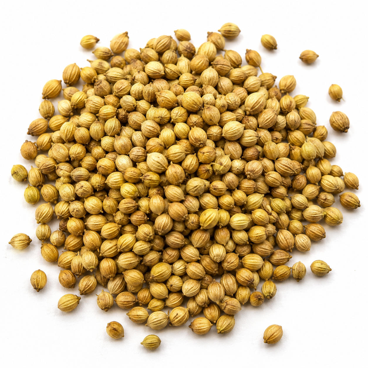 Coriander seeds (Whole)