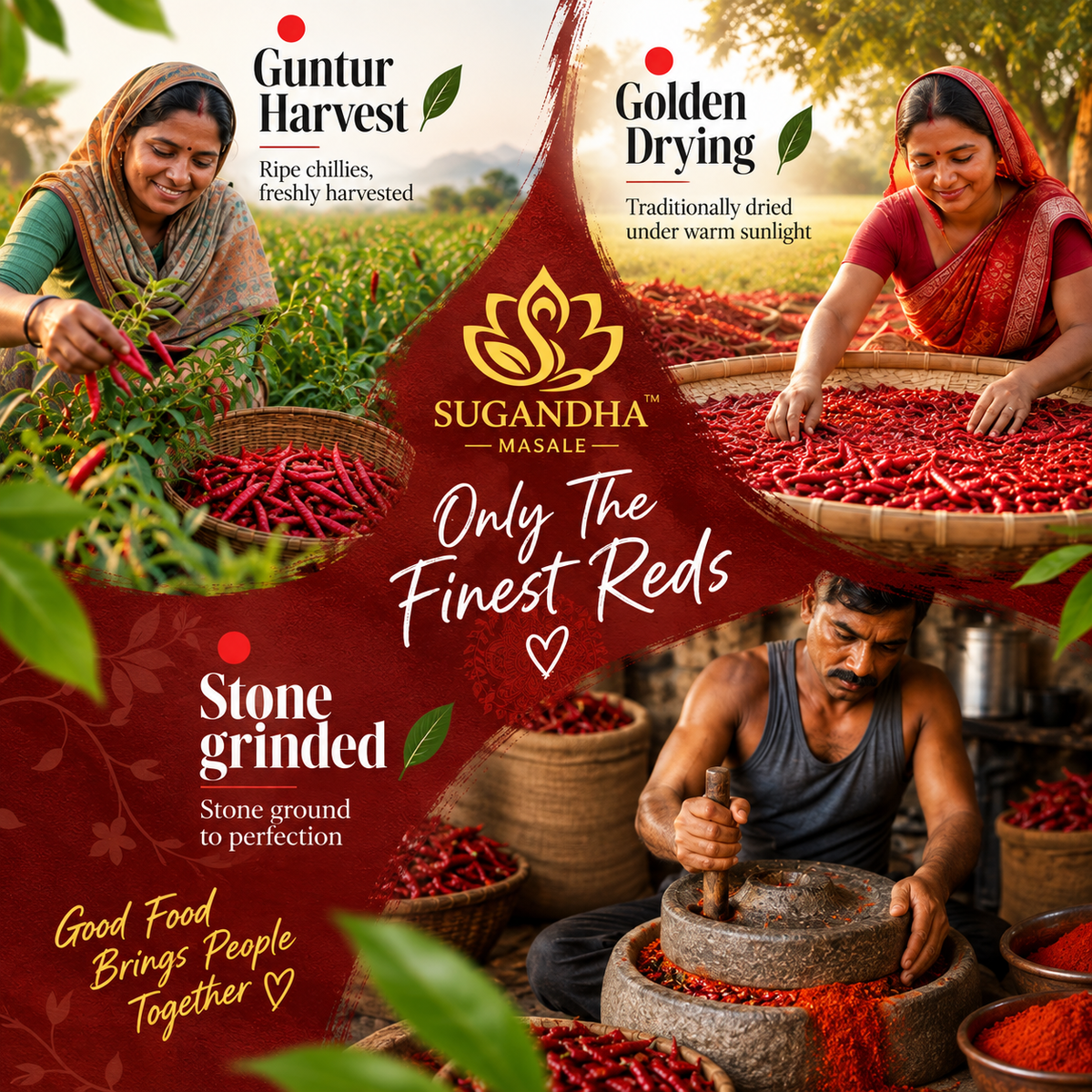Sugandha Masale Everyday Spice Combo Pack| 500 Grams Each