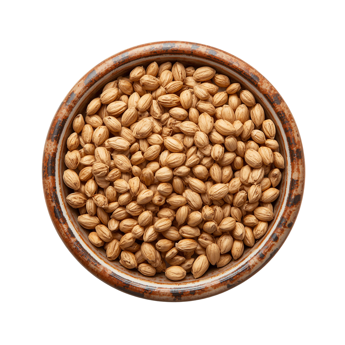 Coriander seeds (Whole)