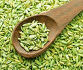Fennel seeds (Saunf)